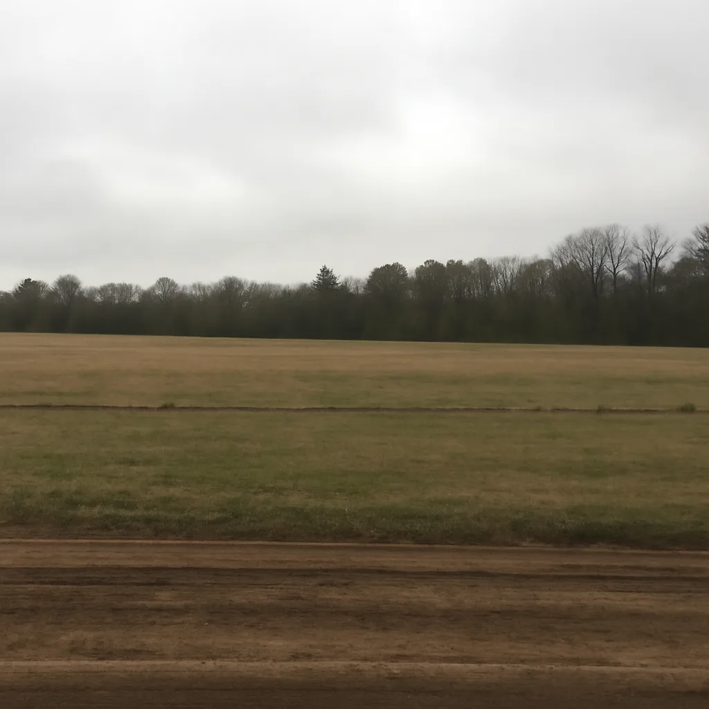 Rural acreage with open grassland and conifer forest in Richland County, South Carolina